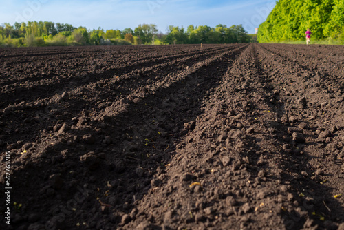 Tillage. Arable land. Furrows rows in a plowed field prepared for planting crops in spring. Land prepared for planting and cultivating the crop. Ploughed field, deep level furrow before sowing.