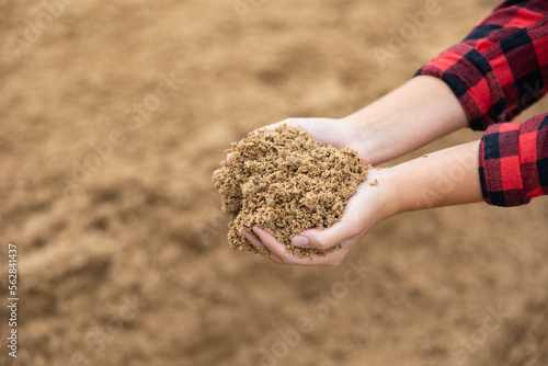 Hands of woman farmer holding pile of brewer's spent grain. Draff as fodder, animal food.