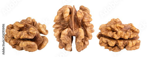 Levitation of walnut kernel isolated on transparent background.