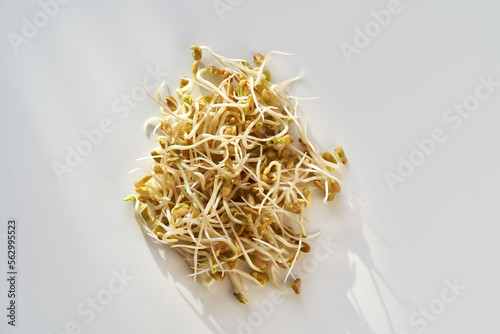 Top view of fresh fenugreek sprouts