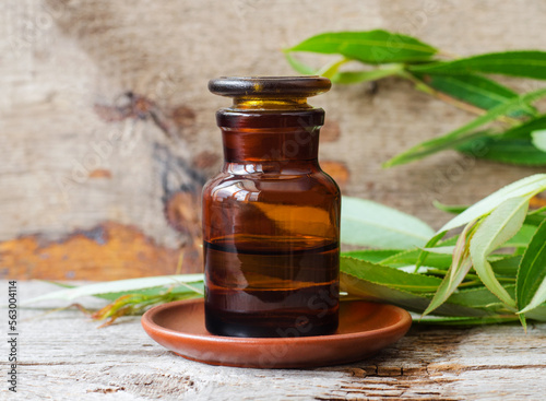 Pharmacy bottle with willow bark extract (tincture, infusion). Willow leaves close up. Old wooden background. Aromatherapy, spa and herbal medicine concept.