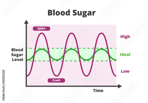 Blood sugar chart isolated on a white background. Blood sugar balance levels, blood sugar roller coaster, diabetes. Normal or ideal, low and high unstable levels with spike and crash.