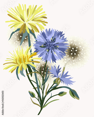 Vector isolated illustration of wildflowers. Floral composition of dandelions and cornflowers.