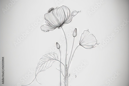  a drawing of a flower with a stem and leaves on a white background with a black outline of the flower and the stem with a bud on the stem, and the stemю. Generative AI