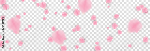 Vector falling rose petals png. Falling sakura petals, roses png. Pink petals png. Petals for Valentine's Day, Mother's Day, March 8.