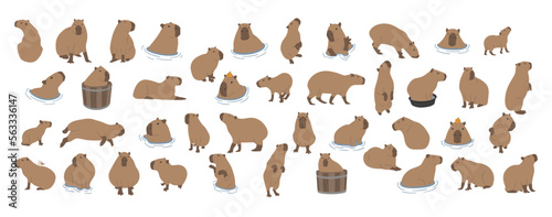 capybara collection 1 cute on a white background, vector illustration. capybara is the largest rodent.