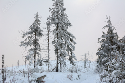 Śnieżna zima w górach