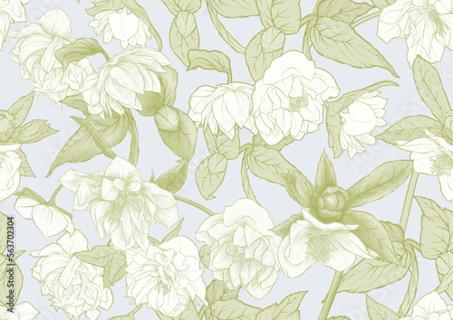 White hellebore flowers, the first spring flowering ranunculus. Spring floral motif. Seamless pattern, background. Vector illustration in botanical style