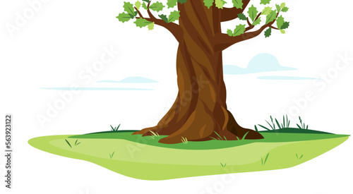 One wide massive old oak tree trunk with green leaves isolated illustration, majestic oak trunk on green meadow with grass in summer day isolated, part of tree