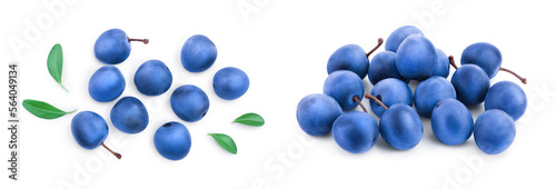 Blackthorn or Sloe berries with leaves isolated on white background. Prunus spinosa. Top view. Flat lay
