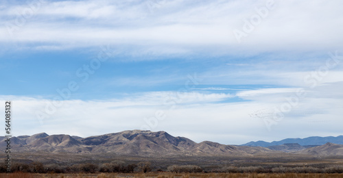 Landscape of mountains as seen from the Bosque del Apache National Wildlife Refuge