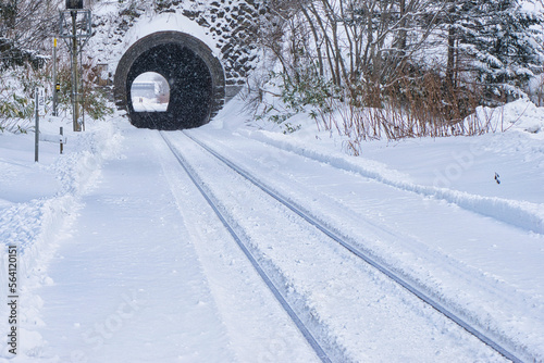 降雪のローカル線トンネルと保線作業