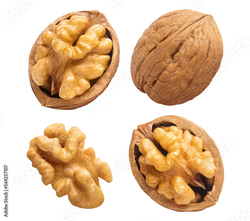 Set of delicious walnuts cut out