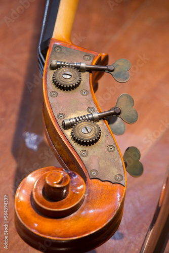 Violoncello. double bass close-up. Details with a spiral, a peg box, nuts, pegs, tuning keys and tuners, a headstock of a double bass. selective focus.