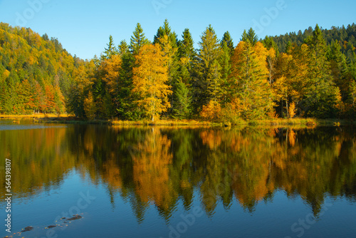 Le lac de Lispach (La Bresse / Vosges) en automne