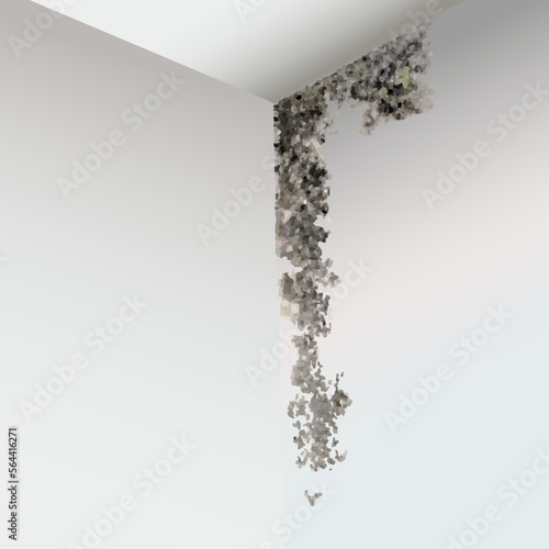 The image of black mold in the corner on the walls and on the ceiling, in vector.