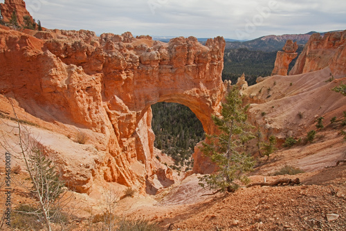 View over Bryce Canyon 2419