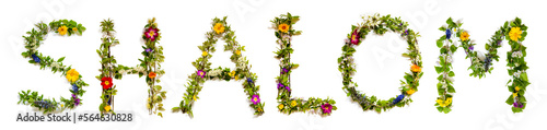 Blooming Flower Letters Building Hebrew Word Shalom Means Hello
