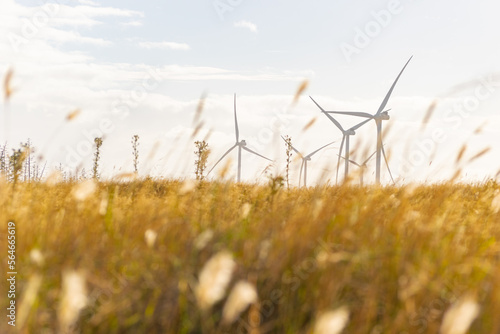 maquinas de aire eolicas para el viento en la naturaleza y plantas silvestres