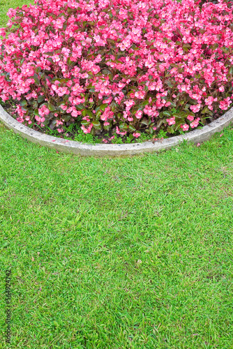 Circular flowerbed with flowers and green lawn