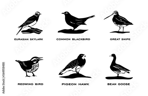 Set of birds isolated on white background. Collection of birds silhouettes on black color in minimal style. vector eps10