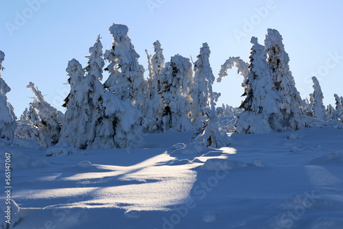 Drzewa pokryte zamarzniętym śniegiem w górach. Widok górski. 
