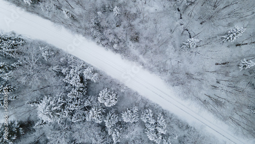 Aerial view of the boreal forest crossed by a logging road on a cold winter day