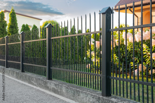 Beautiful black iron fence near pathway outdoors