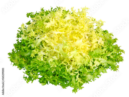 Salade chicorée frisée