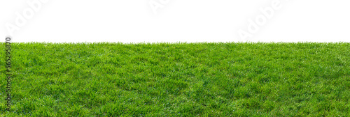 green grass field isolated on transparent background, png