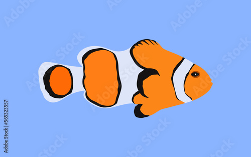 Clownfish in flat style. Fish illustration on blue background. Clownfish isolated. vector illustration