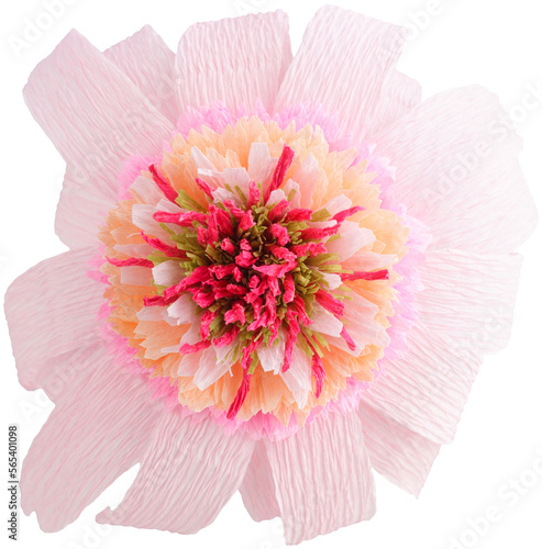 Isolated single echinacea paper flower made from crepe paper