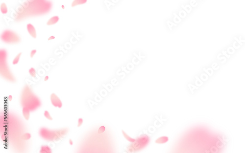 Cherry blossom petals blowing in the wind on a transparent background. Cherry blossom season, spring.