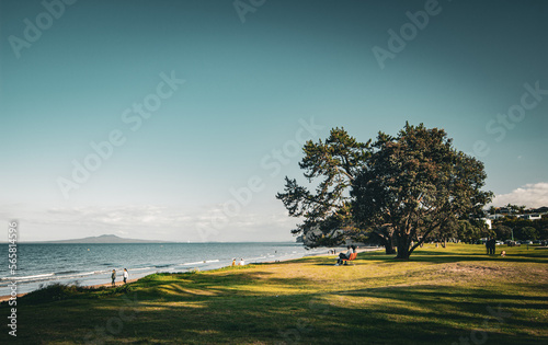 Browns bay, New Zealand