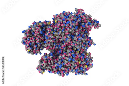 Influenza A virus H7N9 polymerase elongation complex. Space-filling molecular model. Rendering based on protein data bank entry 7qtl. Scientific background. 3d illustration