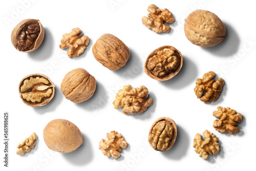 Walnuts j. regia seeds, paths, top