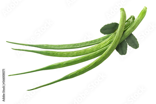 Fenugreek pods or beans w seeds (Trigonella caerulea), fresh, isolated png
