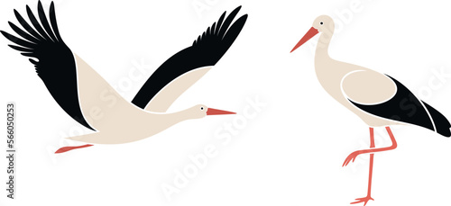 Stork set. Isolated stork on white background