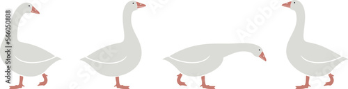 Goose logo. Isolated goose on white background. Bird