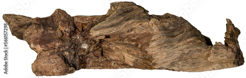 Piece of a root / trunk with many thin branches, river wood, driftwood, aquarium design element - isolated on transparent background - png - image compositing footage - alpha channel 