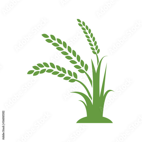 green wheat tree vector design