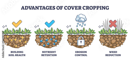 Cover crops cultivation or growing advantages for soil health outline diagram. Labeled educational scheme with earth health, nutrient retention, erosion control and weed reduction vector illustration