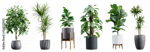 Collection of beautiful plants in ceramic pots isolated on transparent background. 3D render.