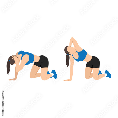 Woman doing exercise in thoracic rotation pose or quadruped rotation. Flat vector illustration isolated on white background