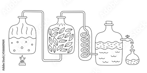 Essential oil making. Distillations aromatic oils. Perfumery distiller equipment. Editable outline stroke. Vector infographic.