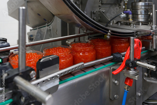Closeup view of red caviar packaging system.