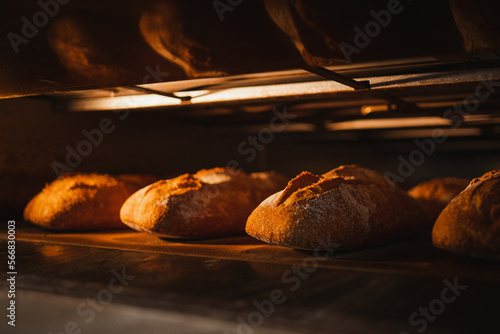 Close up shot of crunchy breads baking in a industrial oven