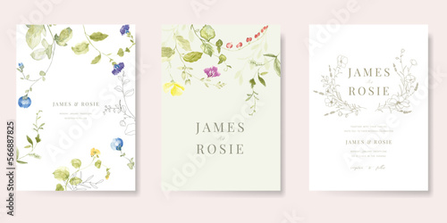 Spring and Summer Flower watercolor Wedding Invitation set, floral invite thank you, rsvp modern card Design leaf greenery branches with blue background decorative Vector elegant rustic template