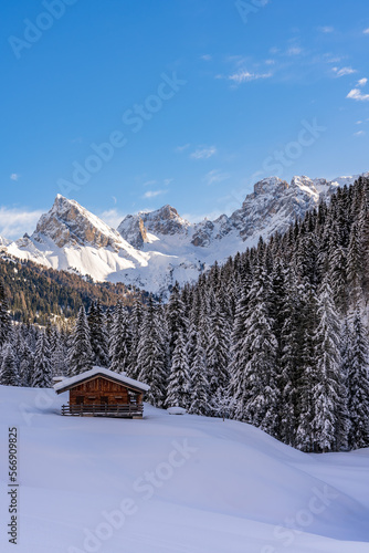 Baite alpine e chalet in mezzo alla neve in un panorama montano e con bosco