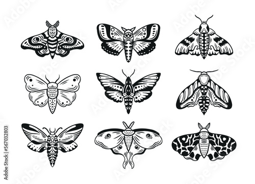 Hand drawn celestial moth collection. Flying beetles ink style graphics. Moth drawing set. Vector illustration.